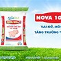 Anova Feed Của Ai Không Nên Dùng Để Làm Gì