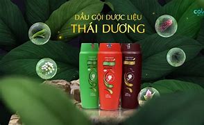 Dầu Gội Thái Dương Có Tốt Không