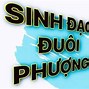 Mắt Phượng Ngón Tay Cái